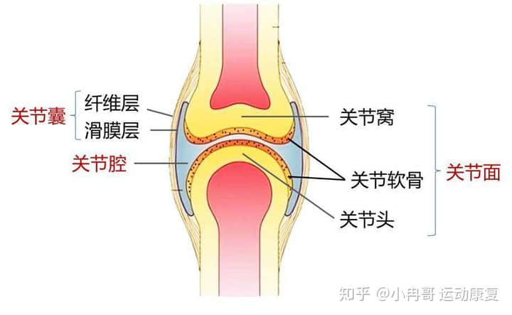 膝痛膝腫膝難受，患上滑膜炎怎么辦？