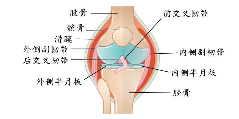 膝蓋不同部位疼是什么病？疼痛科醫(yī)生告訴您
